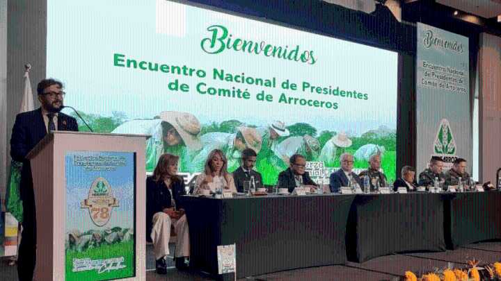 Arroceros urgen al Gobierno nacional cumplir compromisos