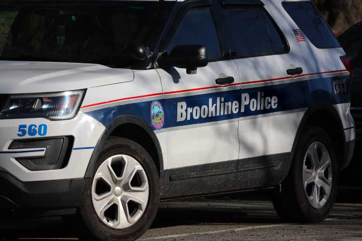 Harvard professor who fired pellet gun near temple takes plea deal