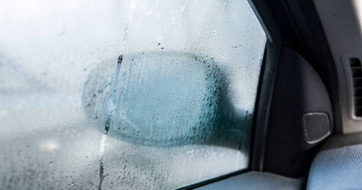 RAC shares simple trick to stop condensation in your car this winter