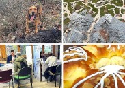 Las noticias imprescindibles de este jueves 27 de noviembre en León