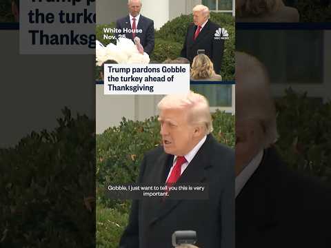 Trump pardons Gobble the turkey ahead of Thanksgiving