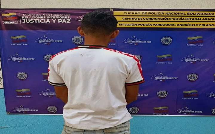 PNB detuvo a un sujeto solicitado por hurto y agavillamiento en Aragua