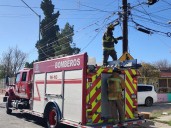 Bomberos retiran cables eléctricos cerca de una escuela para evitar riesgos
