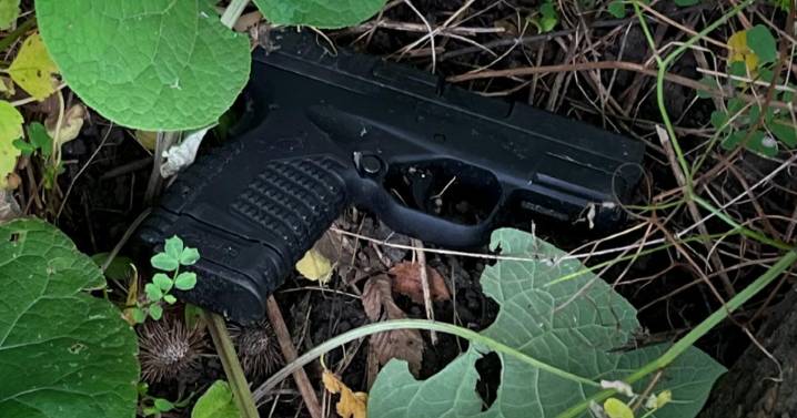 Woman in Twin Cities suburb finds loaded gun while walking dog; police investigating