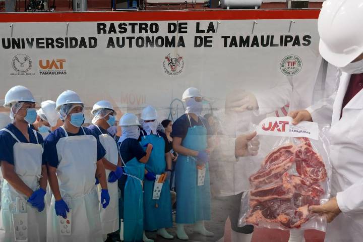 Rastro TIF de la UAT producirá carne para el mercado nacional e internacional