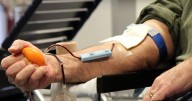 Wisconsin leads Big Ten blood drive