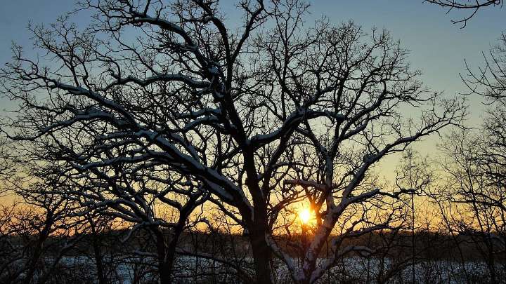 Madhya Pradesh Weather November 12, 2025 Weather Updates: Cold Wave Alert For Next 4 Days in 23 Districts Including Bhopal, Indore; Mercury Dips Below 10°C in Several Cities