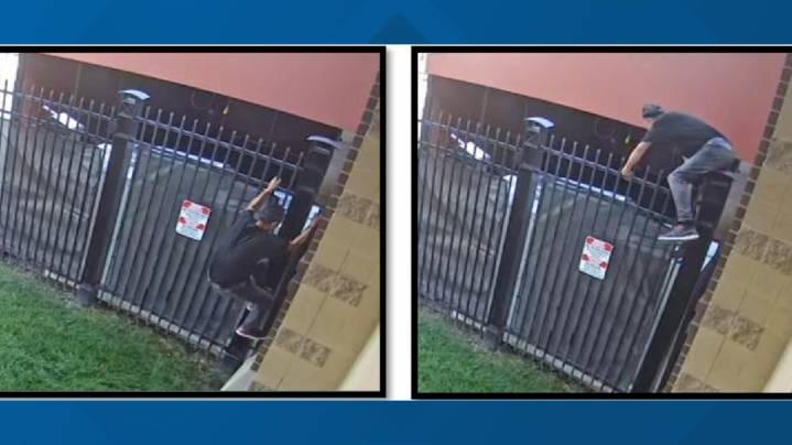 Indy man charged with allegedly stealing beer, snacks from Victory Field