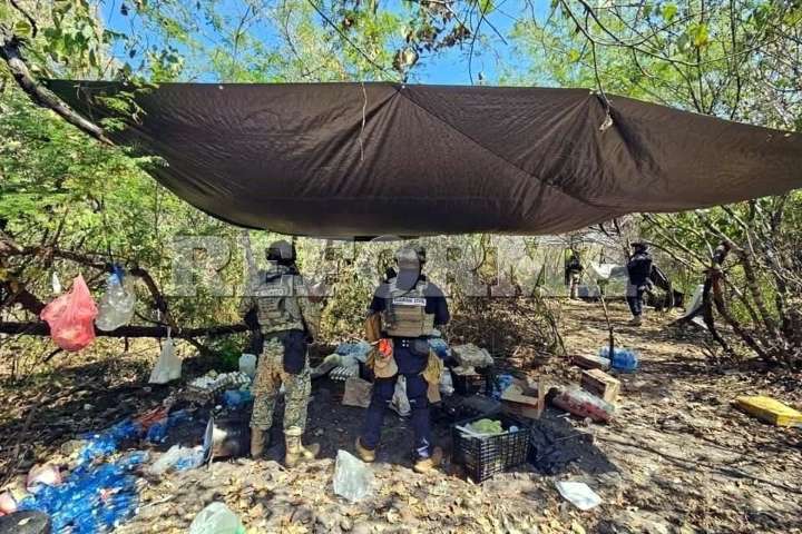 Desmantelan 4 narcocampamentos en zona limonera de Michoacán