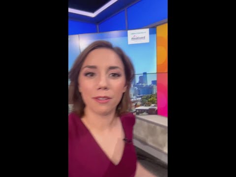 Mild and sunny days are ahead