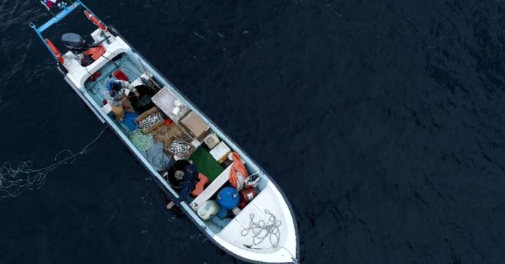Comité Científico propone ampliar veda de la merluza austral por sobreexplotación y pescadores artesanales celebran la medida