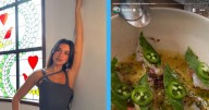 Dua Lipa es captada por tercera vez en restaurante Contramar de la CDMX: conoce la marisquería favorita de la cantante