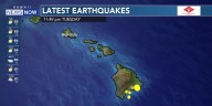 Hawaii Island shaken by magnitude 4.6 earthquake