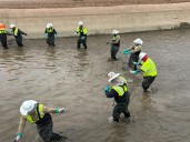 SRP herds fish to begin monthlong canal repair project