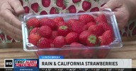 Rain and strawberries | Lunch Break with Michael Marks