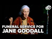 🔴LIVE: Funeral services for Jane Goodall