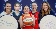 Tasmania's WNBL team name and logo reveal set for December 2