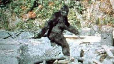 'Bigfoot' Revealed to be a 'Mr. Friesen' from Altona