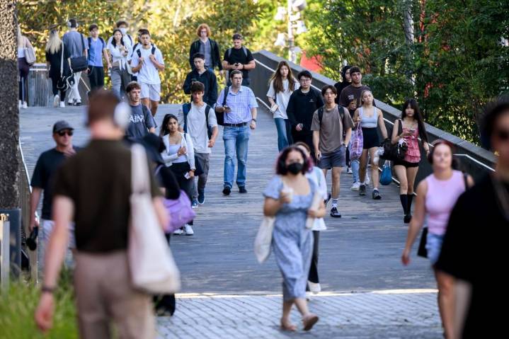 Rate cut in doubt after surprise job-figure jump - News | InDaily, Inside South Australia