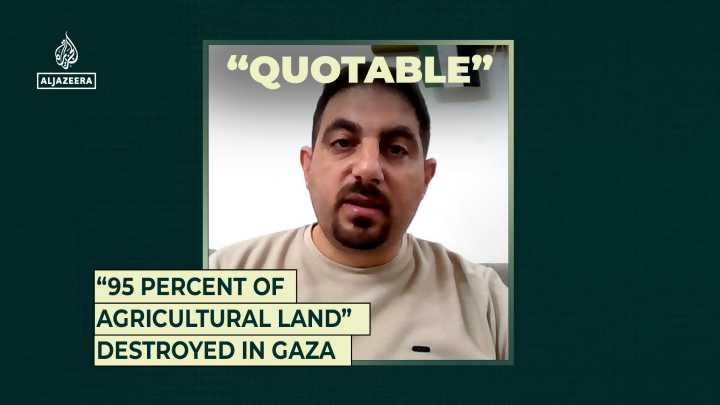 “95 percent of agricultural land” destroyed in Gaza