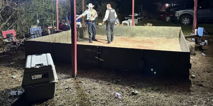 Newton County Sheriff’s Office searching for dogs taken from property linked to alleged dogfighting