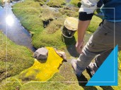 Chile y sus “Verdades Ocultas”: La teleserie interminable de derrames y desastres ambientales en regiones