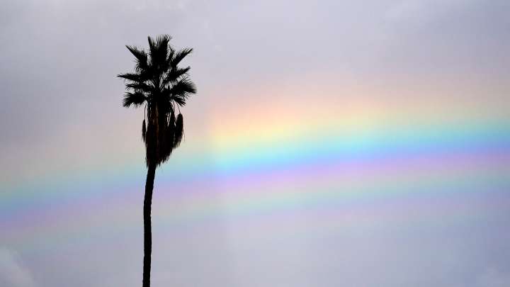 Phoenix breaks rain record, northern Arizona dries for holiday