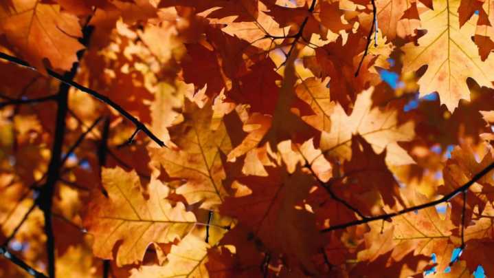 Wednesday's cold front fails to deliver, but one this weekend won't