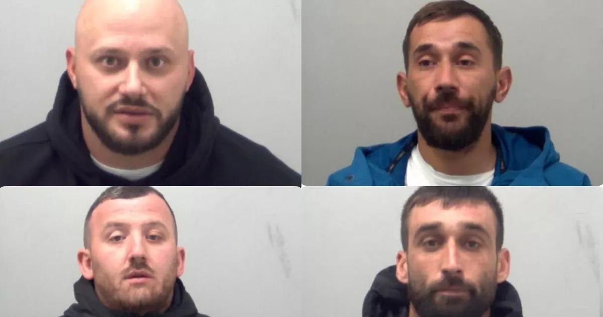 East London group who stashed £100k cannabis farm in industrial estate jailed