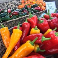 Wondering when to harvest vegetables? Dan Gill explains.