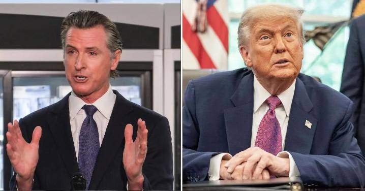 Gavin Newsom Trolls Donald Trump Over 'Quiet, Piggy' Comment With Unflattering Photo of the President at McDonald's