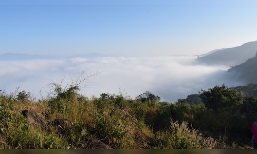 Lambasingi: The frost-covered 'Kashmir of Andhra Pradesh' where tempretures dip to zero degrees