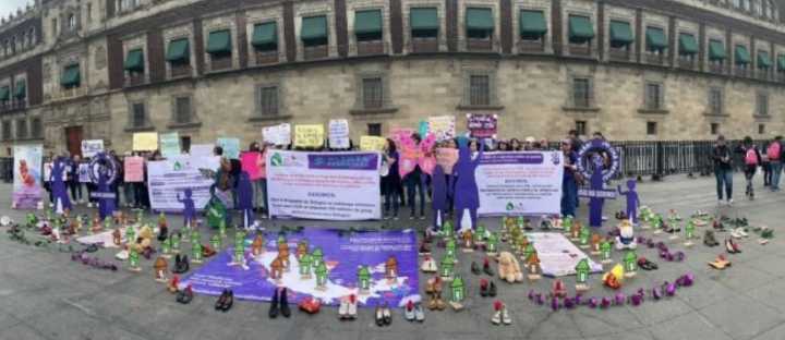 Red Nacional de Refugios demanda asignación de 510 millones de pesos del PEF para 2026