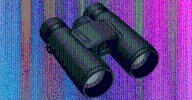 The Best Binoculars Will Help You Find the Ivory Billed Woodpecker