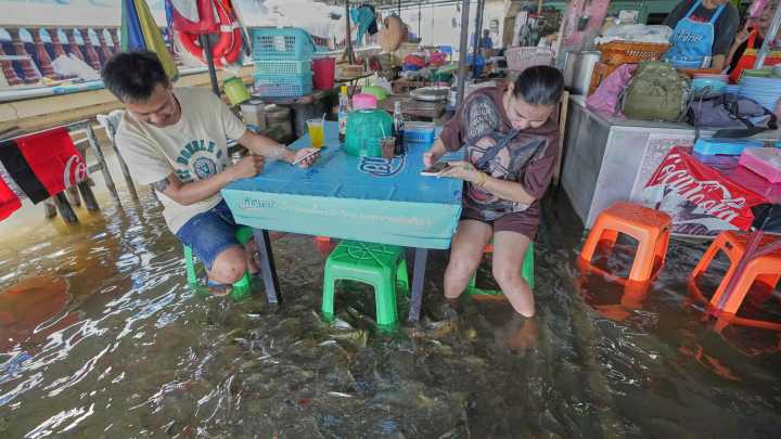 A flooded restaurant in Thailand brings delight with swimming fish among diners