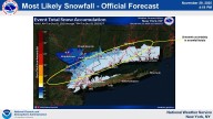 New Storm Could Bring Up To 5 Inches Of Snow To These Parts Of Tristate Region
