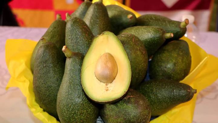 Invitan a la Feria del Aguacate 2025 en San Pedro Benito Juárez; aquí los detalles