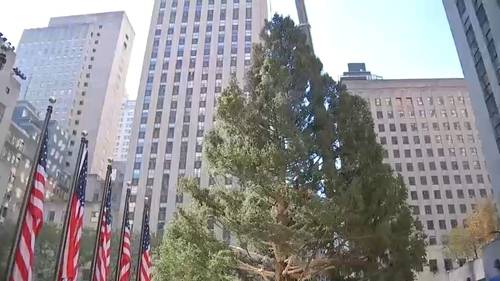 Rockefeller Center Christmas tree arrives in Manhattan