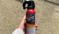 Bear spray in Burnaby: a matter of youth violence, bystanders, and bylaws