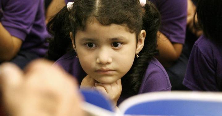 Fun activities focus on bilingual and Spanish