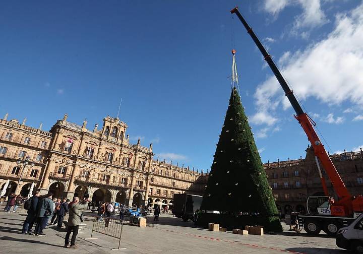 El árbol gigante de Navidad ya preside la Plaza Mayor de Salamanca
