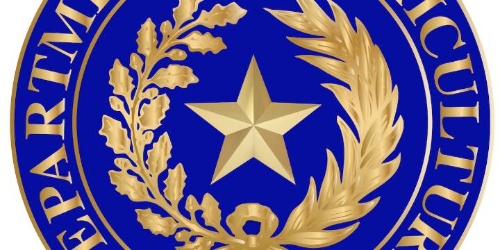 Officials confirm 1 case of EHV-1 in Randall County