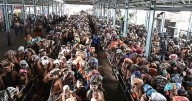 Woman collapses, dies in Sabarimala darshan queue amid massive rush