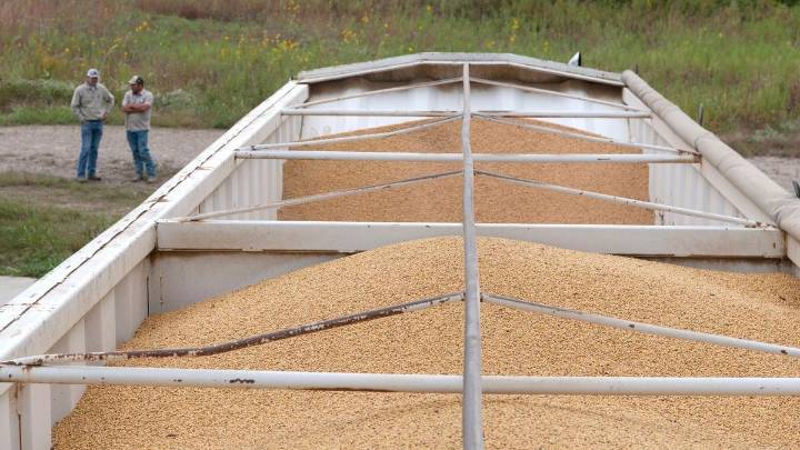 Crisis agraria en EEUU: La guerra comercial desatada por Trump por los aranceles hunde al campo americano