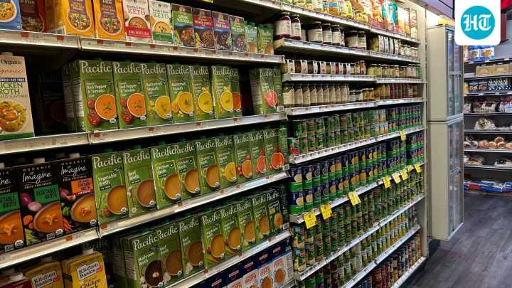US cuts tariffs on over 250 food products: How it impacts Indian exports?