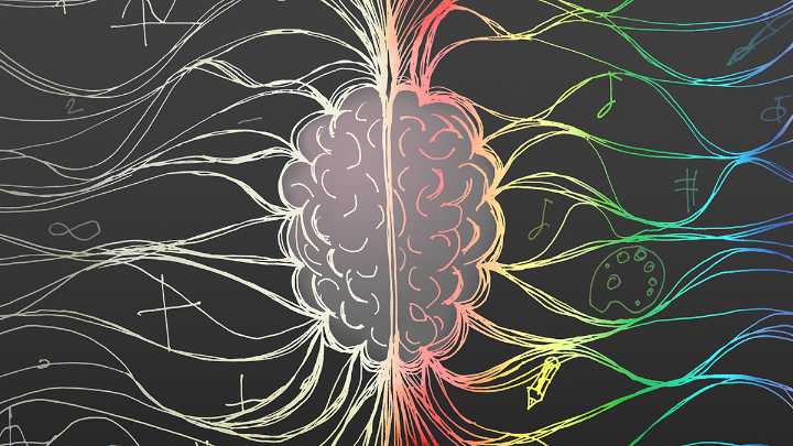 Hidden Rhythms in Your Brain And Gut Share a Surprising Link