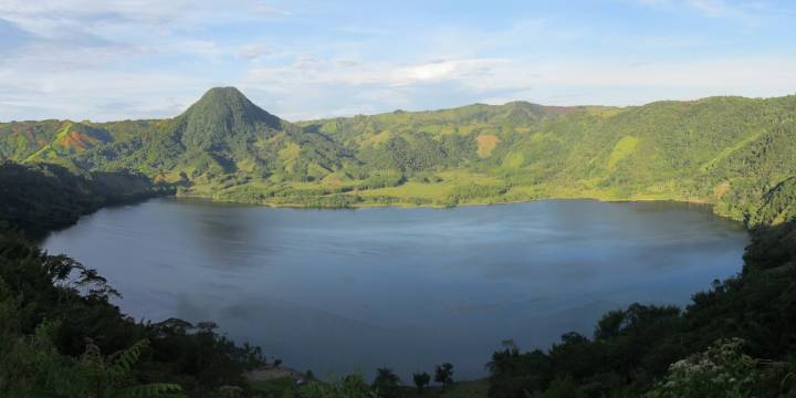 Sigue en pie el cierre en la Laguna de San Diego, en Samaná, Caldas, por un virus: hay más de 20.000 peces muertos