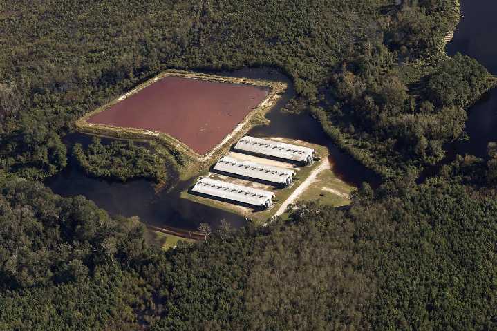 N.C. Supreme Court Says State Regulators Erred on CAFO Permits