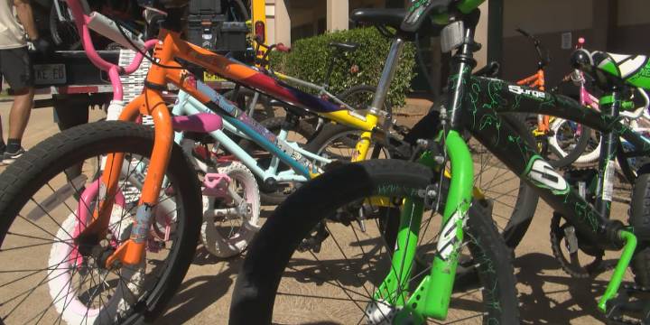 Bike expo aims to prevent more e-bike injuries, deaths