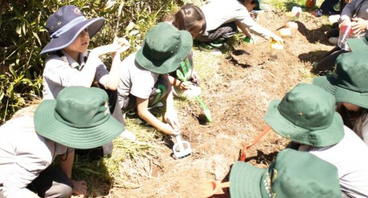 Arequipa: Jardinería educativa impulsa la responsabilidad y el bienestar emocional en los escolares